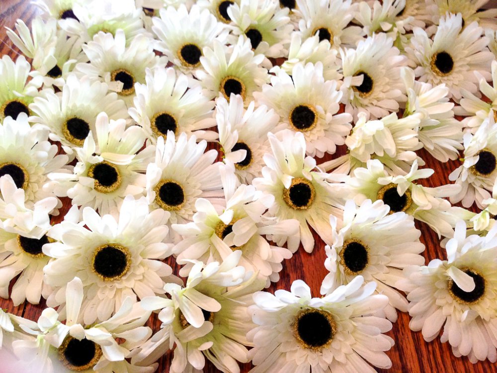 Gerber kissing balls