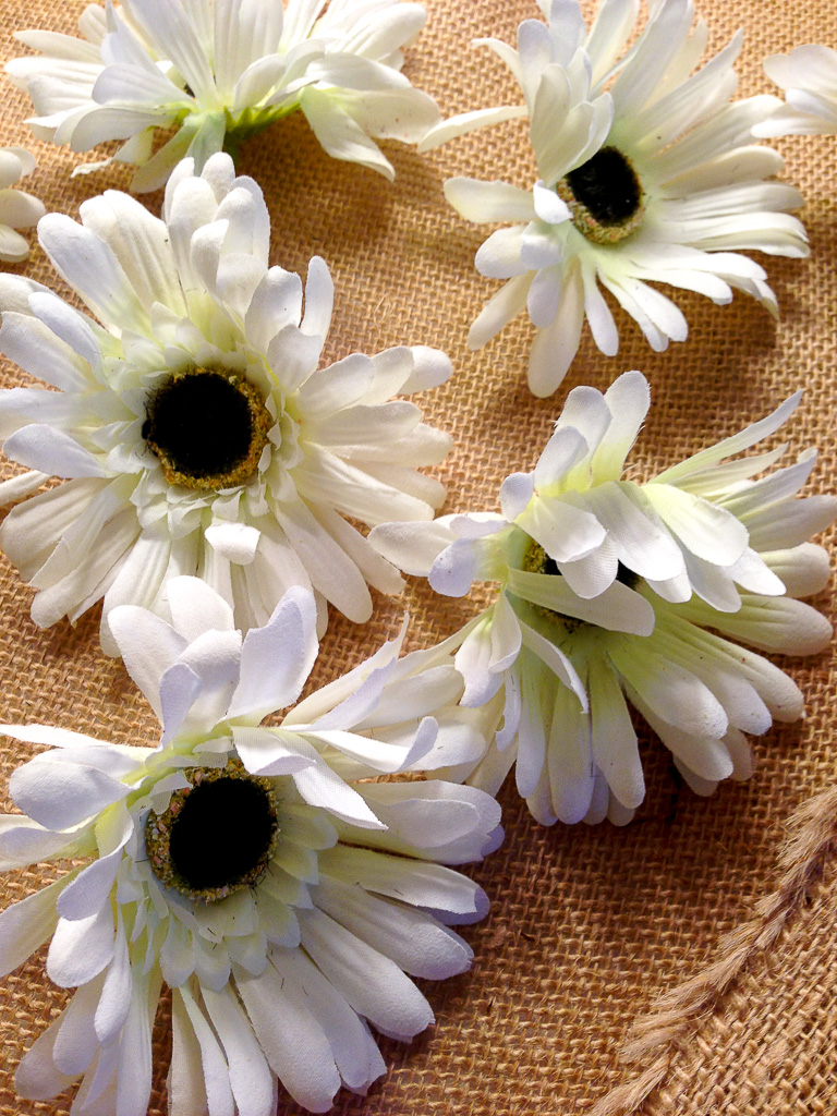 Gerber kissing balls