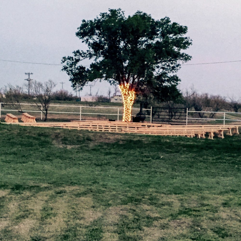 Wedding Tree