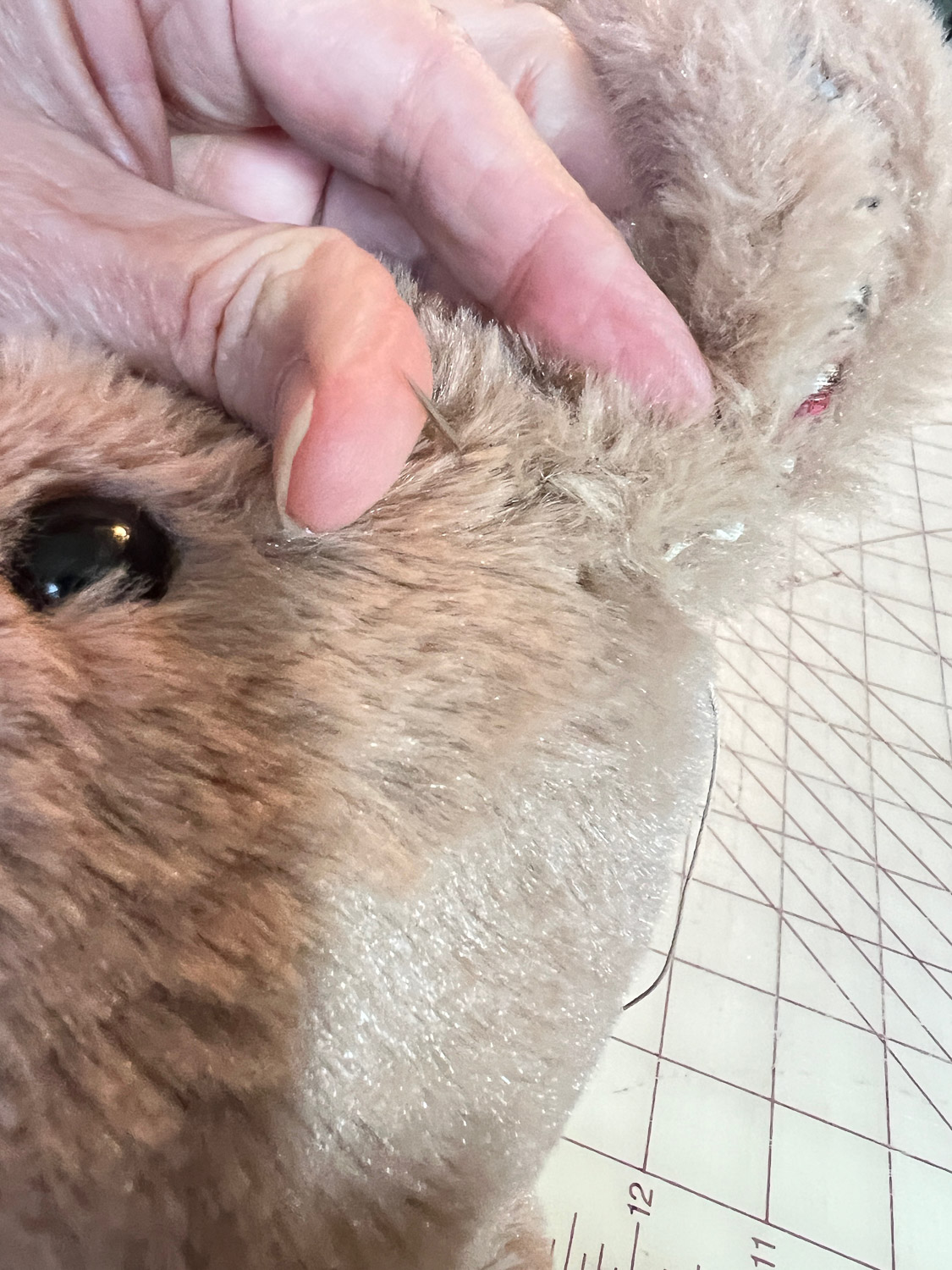 How to mend bunny ear