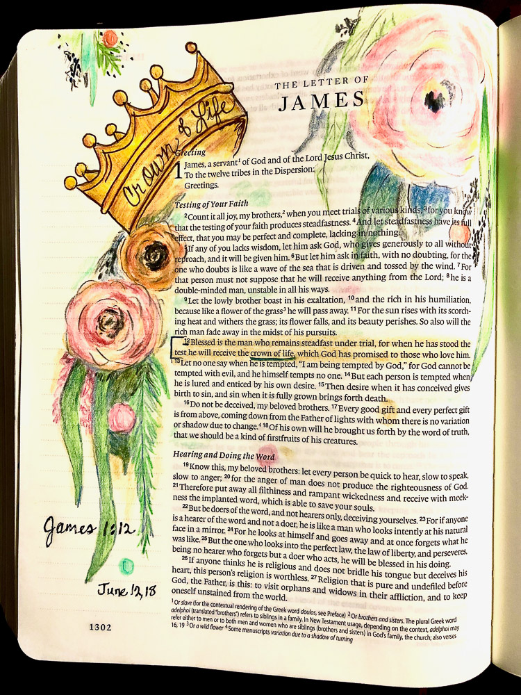 Bible Journal James 1 12 FrostedSaddle