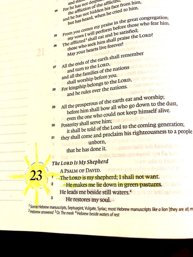 Bible Journal Psalm 23